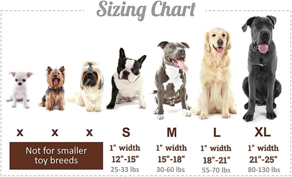 Нашийник за кучета от естествена кожа PawMob, яки от мека, Гладка и дебела кожа premium за малки кучета със средни размери, се предлага в повече от 5 цвята | Кафяв L