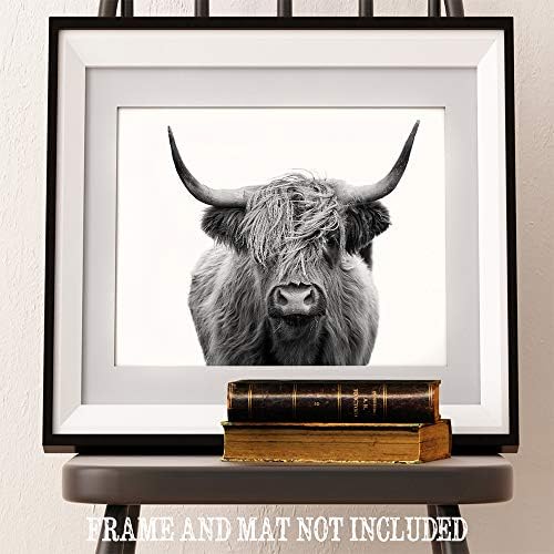 Черно-бяла крава марка LSA Highlands с принтом 11x14 без рамка - Чудесен подарък и декор за фермерска къща Струва по-малко от 15 долара